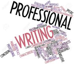 Introduction to Professional Writing eBook