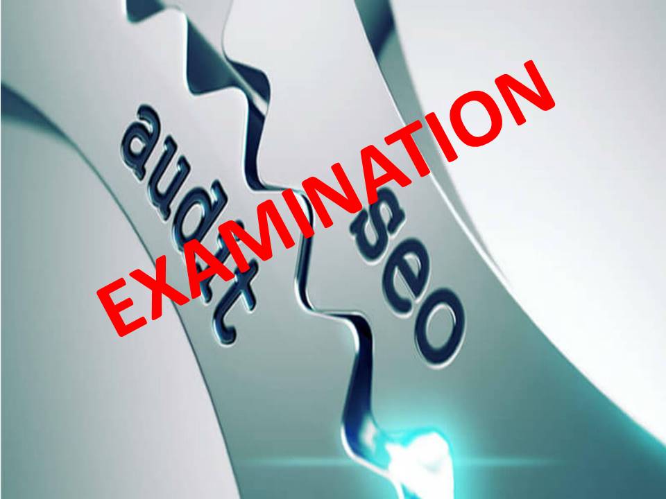 Digital Marketing Search Engine Optimization Engine (SEO) Audit Examination