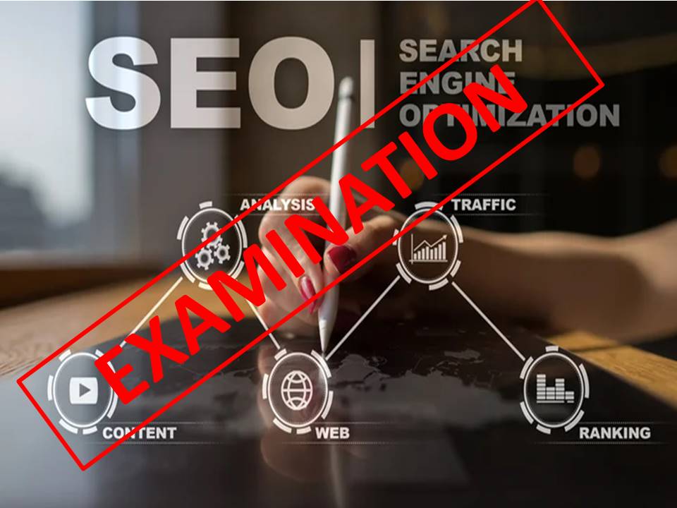Digital Marketing       Search Engine Optimization (SEO) Analysis Examination
